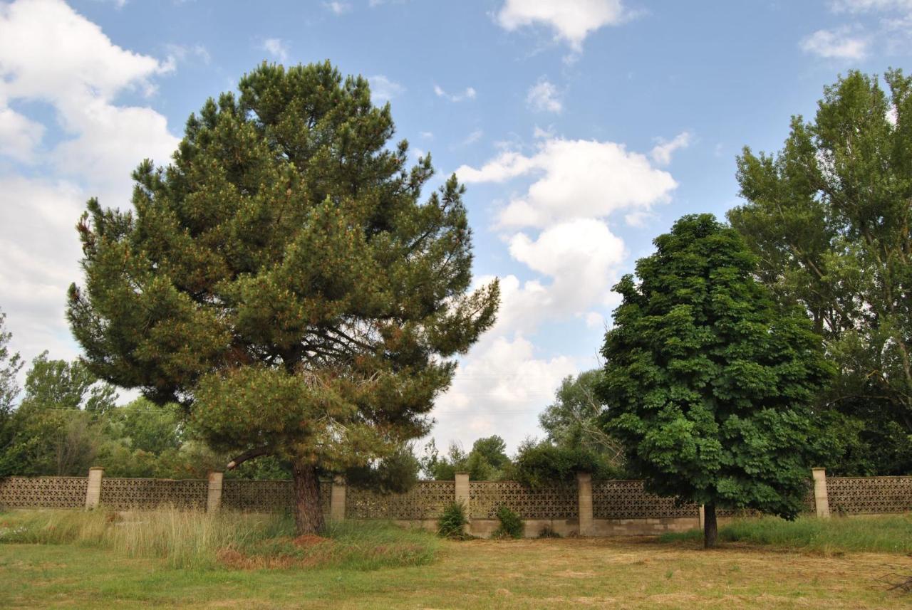 San Andrés del Rabanedo Finca Arroyo Del Valle מראה חיצוני תמונה